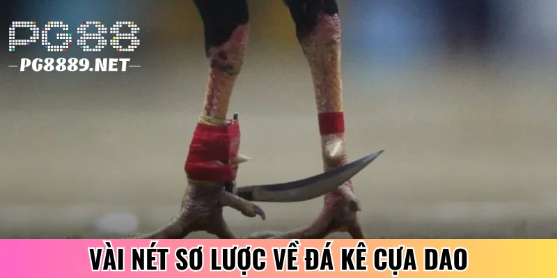 Giới thiệu sơ lược về đá kê cựa dao