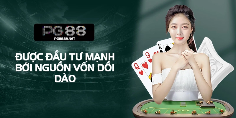 Sở hữu tiềm lực tài chính mạnh và ổn định